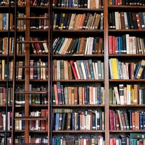 book review of the book